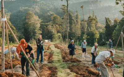 Soluciones Ambientales para la Gestión Eficiente de Recursos