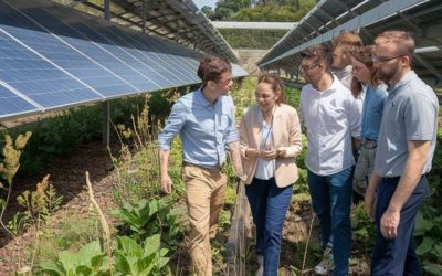 Transformando el Futuro: La Importancia de las Soluciones Ambientales en las Empresas